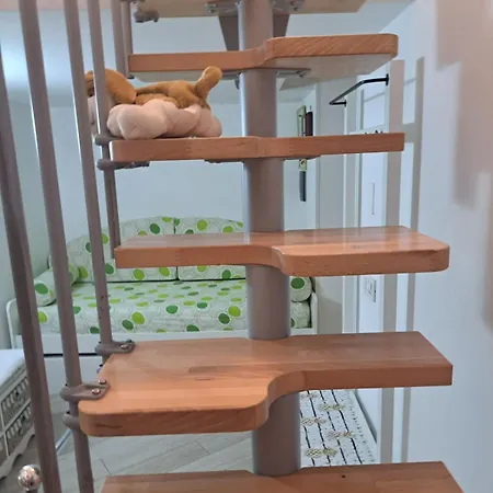 La Casa Nosvit Apartment