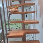 La Casa Nosvit Appartement