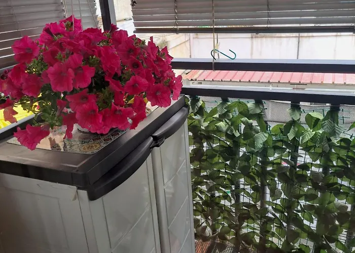 아파트 La Casa Nosvit *